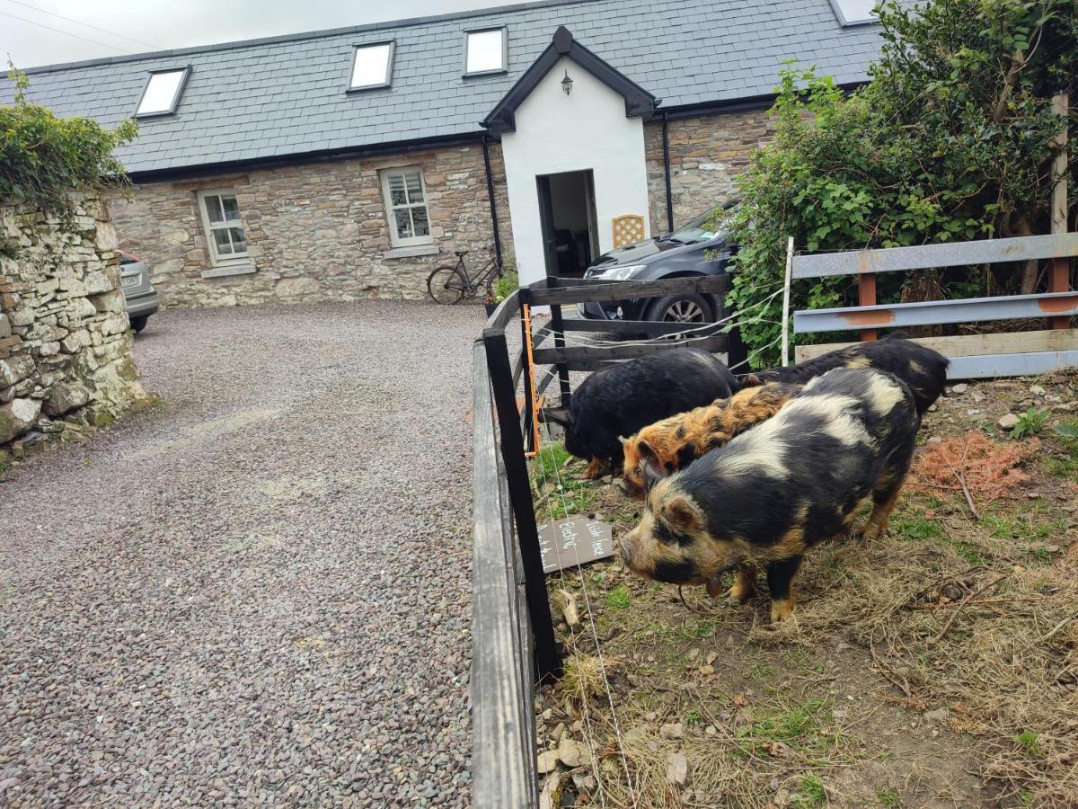The Old House At Belfield Villa Tralee Bagian luar foto