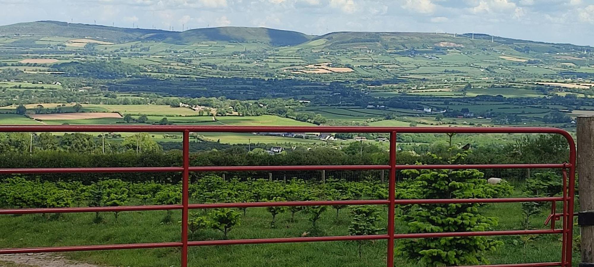 The Old House At Belfield Villa Tralee Bagian luar foto